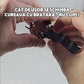 Ceas Quartz Barbati Alb - Curea Metalica - Arista